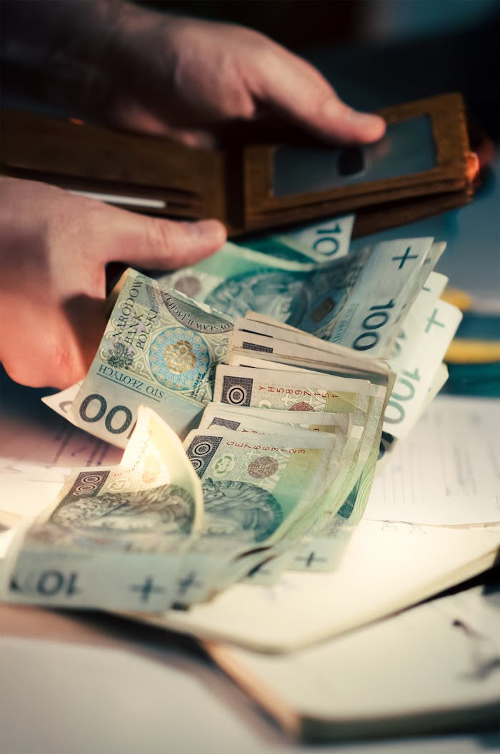 Person counting Polish Zloty banknotes taken from a wallet, symbolizing finance and business.